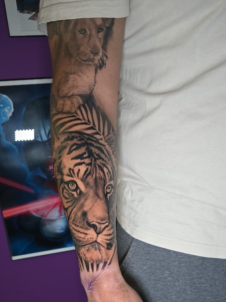 Black and grey lion and tiger wildlife forearm tattoo by Billy Smith